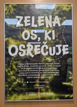 Zelena os, ki osrečuje